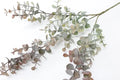 25"Artificial Spiral Eucalyptus Sprays : Grey Plum