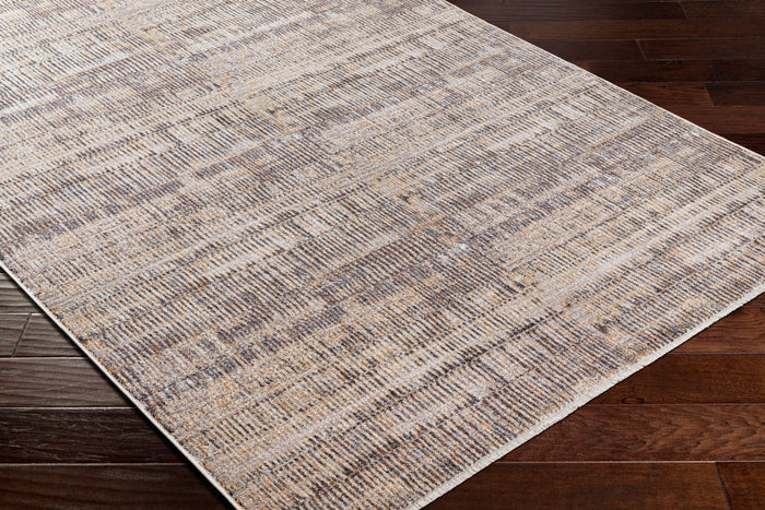 Aida Rug -AAD2304-579