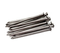 Common Nails