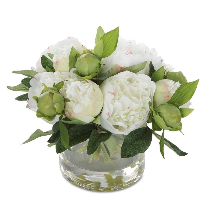 Country Ferns, S/2