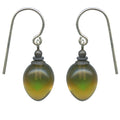 Owen Glass Collection COLORS 16 earrings featuring vibrant, multicolored glass beads with intricate design details.