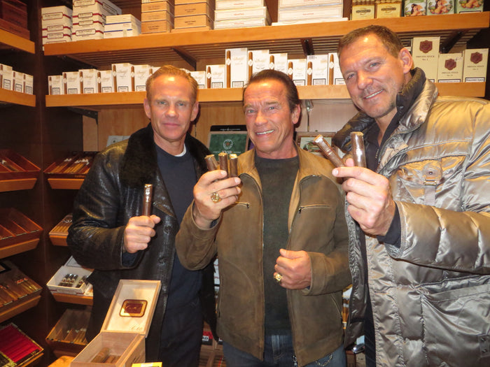 DM Red Label Torpedo - Cabinet of 10
