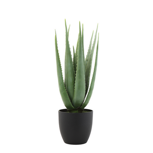 FAUX ALOE PLANT IN POT