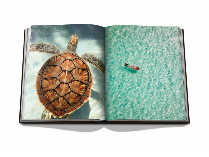 JAMAICA VIBES - ASSOULINE CLASSICS COLLECTION