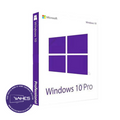 Microsoft Windows 10 Professional - (Lifetime License) w/install guide