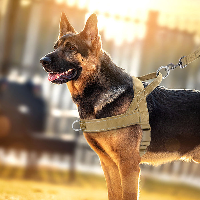 MEELANO No-Pull hundesele med refleksdetaljer Khaki