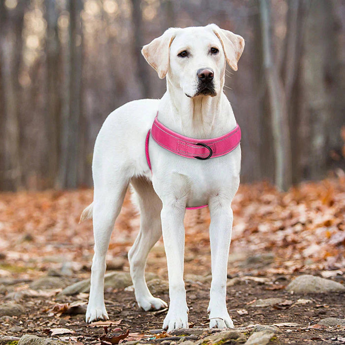 MEELANO No-Pull hundesele med refleksdetaljer
