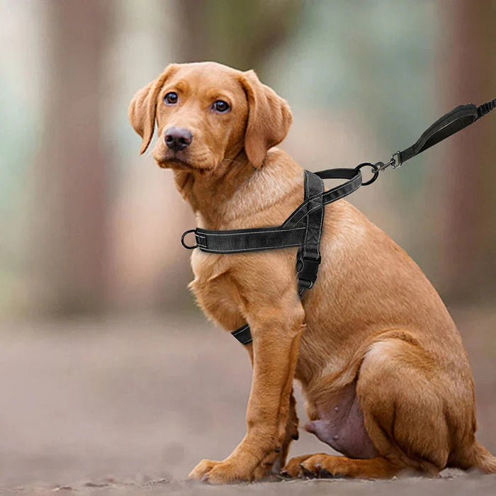 MEELANO No-Pull hundesele med refleksdetaljer