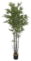 Premium Bamboo In Pot, #FL6017