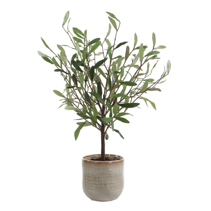 Solea Olive Accent