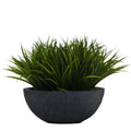 SWORD GRASS IN YARA BOWL