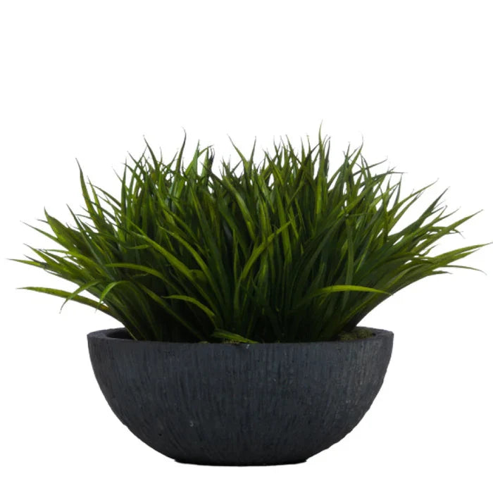 SWORD GRASS IN YARA BOWL