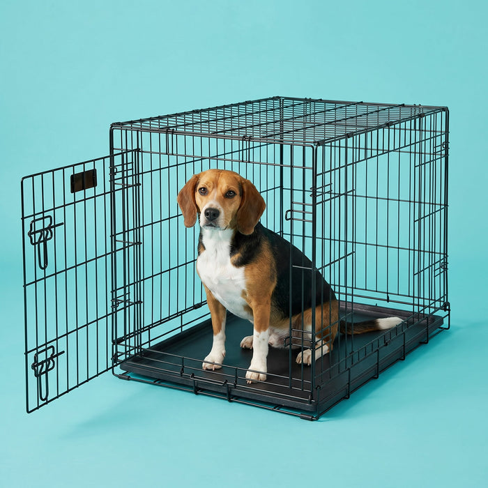Vibrant Life Wire Dog Crate, Double-Door, Divider and Leak-Proof Tray, Metal, Foldable, Durable, Black, 36 in - Brand New