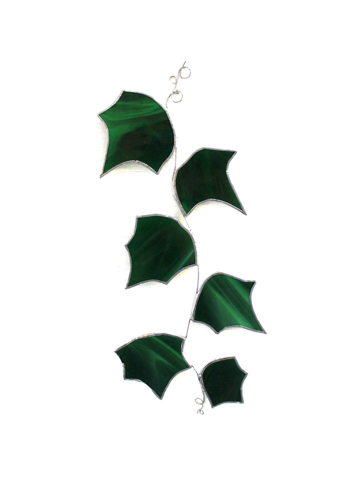 vine leaves suncatcher: ivy