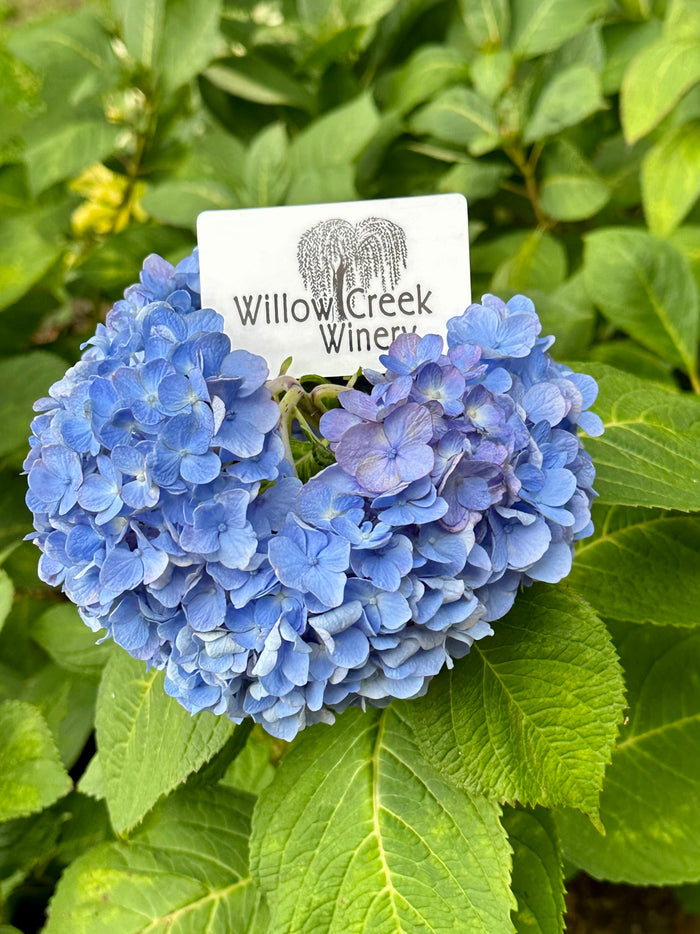 Willow Creek Gift Card