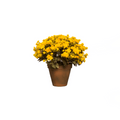 YELLOW MUM POT - Hedi's Furniture